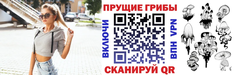 Галлюциногенные грибы ЛСД  продажа наркотиков  Щёлково 